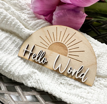 Hello World Sign, Birth Announcement Sign, Baby Announcement, Hello World, Baby Reveal, Baby Reveal Sign, Birth Sign